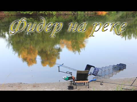 Видео: Рыбалка с ночевкой на фидер. Река Десна