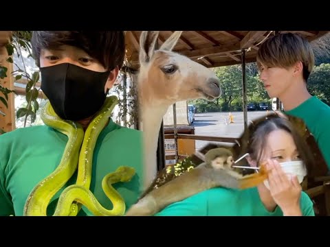 Видео: На работе я весь день играл с милыми зверюшками.