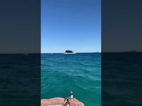 Видео: . Ах, море море.