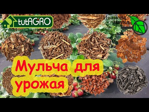 Видео: МУЛЬЧА: ОТ ОПИЛОК до ПЛАСТИКА. Закисляет почву? Ворует азот? И другие стыдные вопросы о мульче.