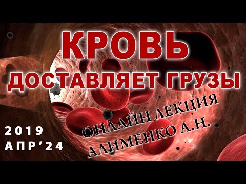 Видео: Кровь. Эритроциты будут «доставлять грузы». Алименко А.Н. (24.04.2019)