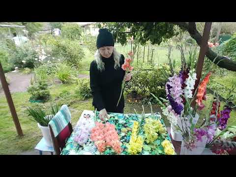 Видео: Букет из гладиолусов . Gladiolus . Часть 3 .
