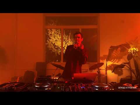 Видео: этюд х птичка w/ timur ptahin (live)