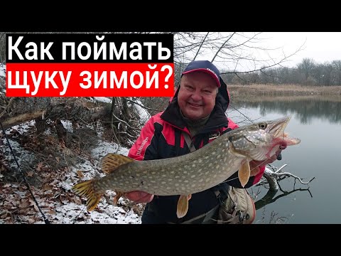 Видео: Как поймать щуку зимой на спиннинг с берега? Тест Crazy Fish Perfect jig 76 MLT