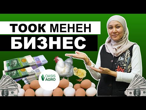 Видео: Эки күндө тоок менен бизнес кылганы үйрөтөбүз. Оазис Агродон соонун кэшбэктер, бонустар.