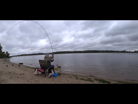 Видео: Рыбалка на фидер. Осенняя плотва. В ожидании леща.Днепр.