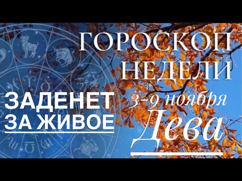 Видео: Дева ♍️ 3-9 ноября 2025🗝❤️✨☀️Таро Ленорман предсказания