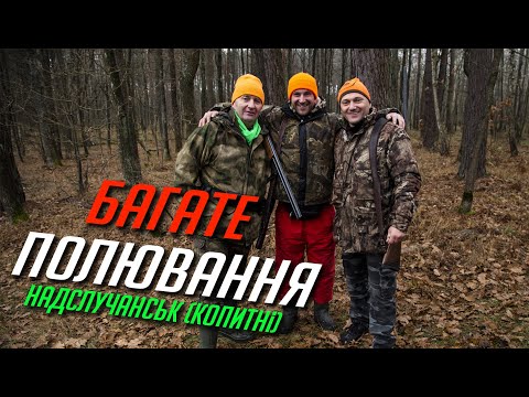 Видео: Мисливське щастя! Відкриття полювання на копитних