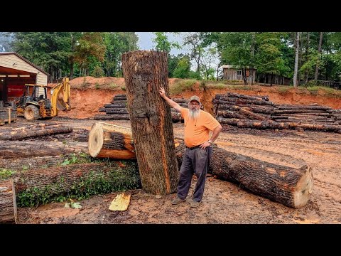 Видео: Распиловка радужного тополя для T&G! Часть 1