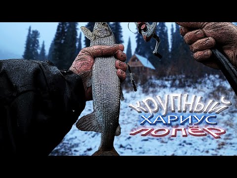 Видео: КРУПНЫЙ ХАРИУС на УДОЧКУ!!! +18| Утренний кофе| Рыбалка| Сто грамм под сугудай| Быт| Готовим вместе