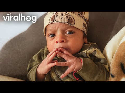 Видео: Самые смешные детские моменты! 👶😂 ViralHog