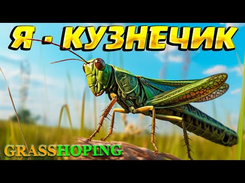 Видео: Я - КУЗНЕЧИК ( Grasshoping )