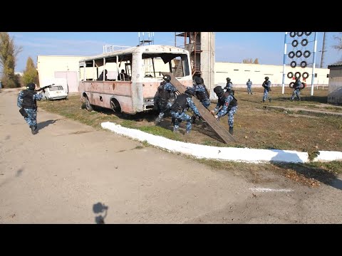 Видео: В путь! Без границ. День милиции - 10/11/22