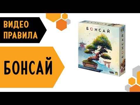 Видео: 🌳 Бонсай — настольная игра  #видеоправила ✂️