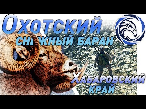 Видео: ГОРНАЯ ОХОТА НА ОХОТСКОГО СНЕЖНОГО БАРАНА. ФИЛЬМ ПЕРВЫЙ