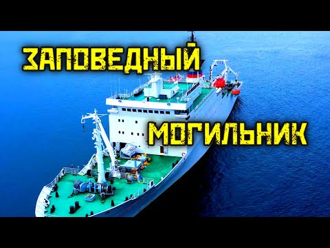 Видео: Одно из самых страшных мест на планете. Заповедный могильник. Карское море