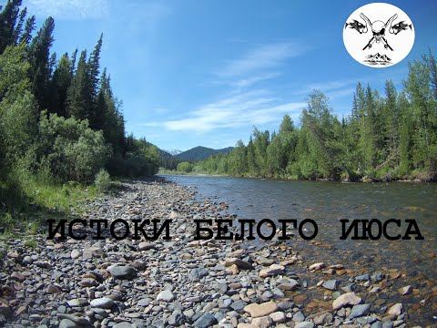 Видео: К истокам Белого Июса (Пихтерек, Туралыг)