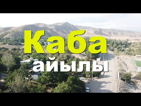 Видео: Базар-Коргондун Каба айылына эл өкүлү чоң жардам берди