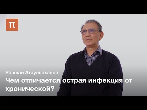 Видео: Адаптивный иммунитет — Равшан Атауллаханов