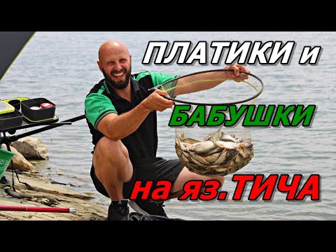 Видео: ПЛАТИКИ и БАБУШКИ на яз.ТИЧА.РИБОЛОВ ПРЕЗ ЛЯТОТО с ТЕЛЕСКОП