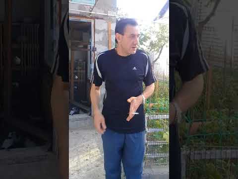 Видео: Совет от Гагика 26.Про глистов.