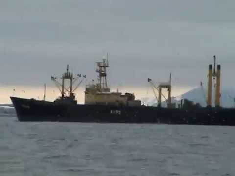 Видео: Промысел сельди в пос. Эвенск Магаданской области