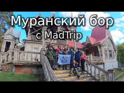Видео: Муранский бор с MadTrip