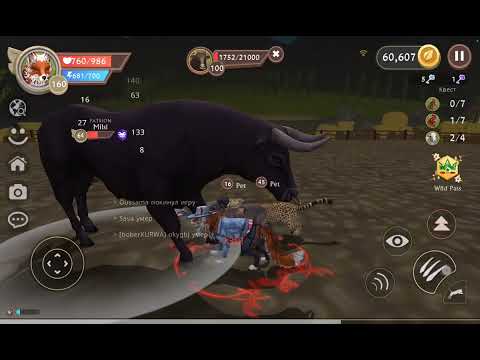 Видео: Знакомлюсь с игроками