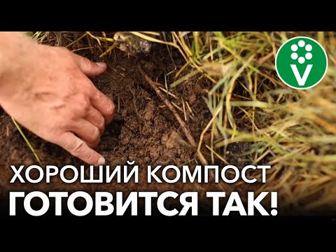 Видео: ЗОЛОТЫЕ ПРАВИЛА БЫСТРОГО И КАЧЕСТВЕННОГО КОМПОСТА! Созреет в разы быстрее и принесет только пользу