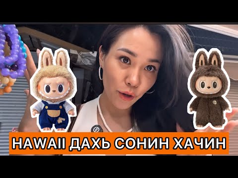 Видео: LABUBU БӨӨНИЙ ЗАХ 😲