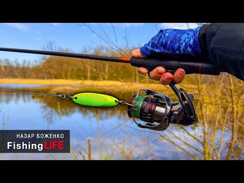 Видео: Ловля Щуки На Блешню Коливалку В БОЛОТІ