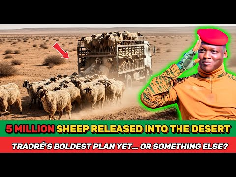 Видео: Что на самом деле стоит за планом Ибрагима Траоре выпустить 5 миллионов овец через пустыню Сахель?