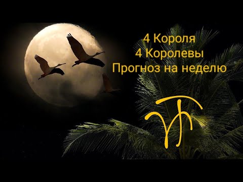 Видео: Прогноз на неделю #гаданиеонлайн #vina_taro #4королевы #4короля