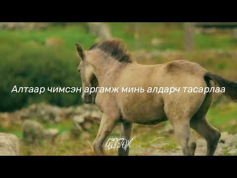 Видео: Бат-Оргил – Цовоо хонгор /үгтэй/