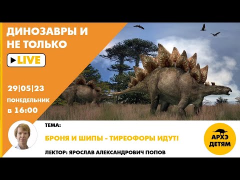 Видео: Занятие "Броня и шипы — тиреофоры идут!" кружка "Динозавры и не только" с Ярославом Поповым