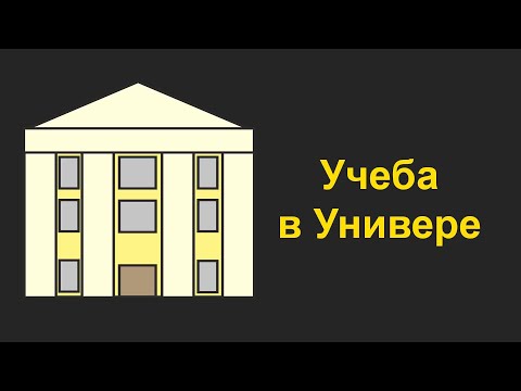 Видео: Как проходит учеба в университете?