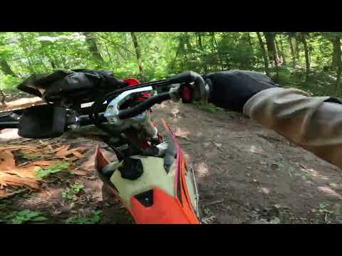 Видео: Художественные кики в лесу или тигр на К2ПРО