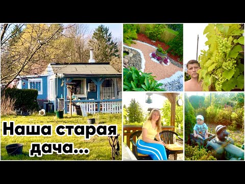 Видео: Нашу Старую Дачу Не узнать / Экскурсия / Дачи в Германии