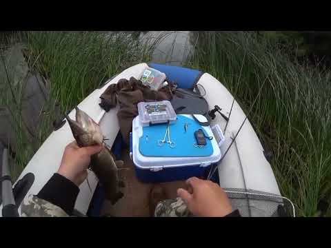 Видео: Тихая таёжная река. Ловим и жарим щуку, рыбалка для души!