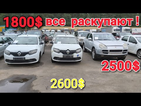 Видео: РАСПРОДАЖА  АВТОКОНФИСКАТА   Все покупают.  Дешевые авто.
