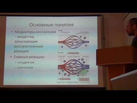 Видео: Патофизиология  Воспаление 1