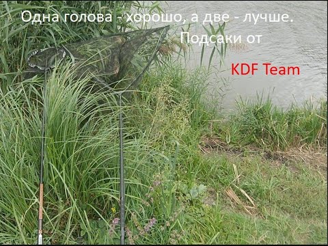 Видео: Одна голова хорошо, а две - лучше. Обзор моих подсаков от KDF Team.