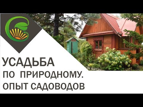 Видео: Усадьба по природному