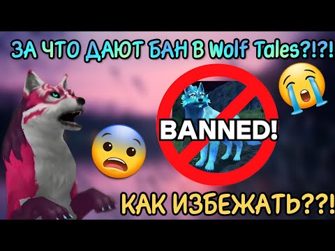 Видео: ЗА ЧТО БАНЯТ В Wolf Tales?!?! КАК ИЗБЕЖАТЬ???