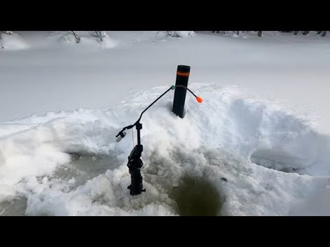 Видео: О такой удочке мечтает каждый РЫБАК / Эта удочка творит чудеса / Электронная удочка СПУТНИК