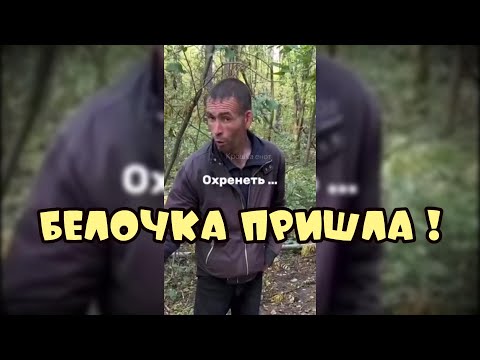 Видео: Белочка пришла Подборка приколов #поржать