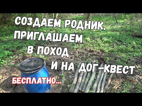 Видео: Live. Делаем родник. Коптим рыбу. Обустраиваем стартовую поляну маркированной экотропы.