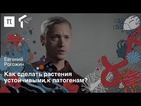 Видео: Пептиды в сельском хозяйстве — Евгений Рогожин / ПостНаука