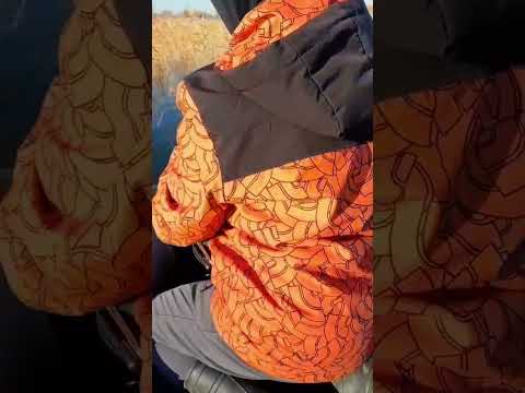 Видео: Щука на кружки и на спиннинг 