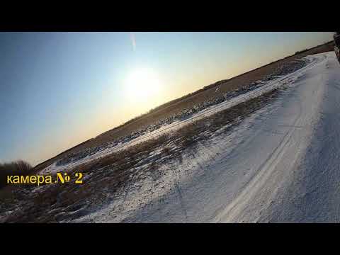 Видео: охота на зайца 19.11.2019